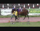 楽天銀行株式会社協賛 第9回土佐春花賞 パドック～本馬場入場