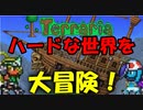 【２人実況】新世界を探索！【Terraria】