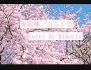 【コラボ風に】春泥棒（ヨルシカ）歌ってみた【Rikoris】