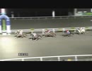 2021年3月21日高知競馬8R A-2組 レインズパワー