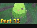 【実況】ポケットモンスター ソード　ヨロイ島編　Part12