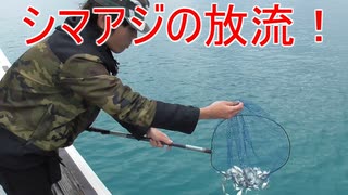 【奄美】シマアジを放流してきた！【大島軍】