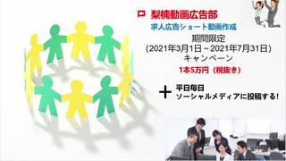 梨楠動画広告部-自社10求人06