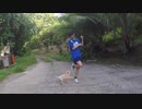 Shake It！ 踊ってみた