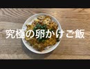 究極の卵かけご飯作ってみた