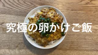 究極の卵かけご飯作ってみた