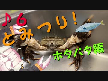 とみつり！♪６　〜あかりちゃんと行く釣行記〜ホタパタ編
