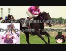 【競馬】ゆっくりさんと未来に語り継ぎたい名馬たち その007【ゆっくり朗読】