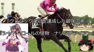 【競馬】ゆっくりさんと未来に語り継ぎたい名馬たち その007【ゆっくり朗読】