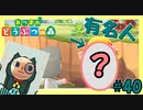 マイル旅行で有名人と遭遇！？映画に登場したあの人が越してくる！【あつまれどうぶつの森】#40