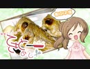 【CeVIOキッチン】魚の塩焼き【てきとーめし･省エネ版】