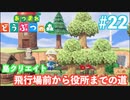 【あつ森】 飛行場前を自然っぽく作ってみた 22日目【あつまれどうぶつの森】