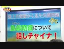 陸上自衛隊から見た尖閣問題 島嶼防衛について話しチャイナ！