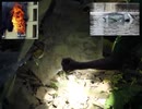 Wurkkos（ウォックス） TS30Sの屋外での照射イメージ（Anduril UI 搭載）2の番目