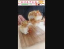 いただきます‼ ラーメンライスonシチュー #Shorts