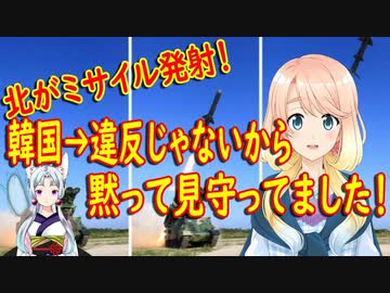 【韓国の反応】米国側の警告がなければ我々は知らなかっただろうね…。韓国が北のミサイル発射を黙認！国連安保理違反ではないので発表もしなかった【世界の〇〇にゅーす】