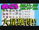 【ポケモン剣盾】初心者必見!!最強ポケモンが出やすい方法を教えます