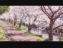 春泥棒を花粉症ｽﾞﾝﾁｬｶｱﾋﾙが歌ってみた