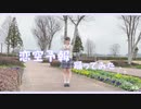 【ﾟさゆﾟ】恋空予報 踊ってみた