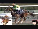 【競馬】ゆっくりさんと未来に語り継ぎたい名馬たち その008【ゆっくり朗読】