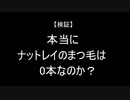 ホモと見る底辺ポケモン実況者の実態part5.binjyou