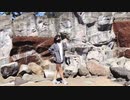 【女子中学生が】スイートマジック踊ってみた/ころも。【初投稿】
