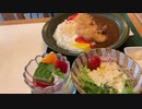 鹿児島県曽木の滝　黒豚カツカレー　旨ま～い！　旅猫あずきと車中泊の旅　6日目お昼