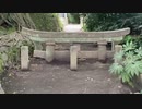 桜島　埋没鳥居　旅猫あずきと車中泊の旅