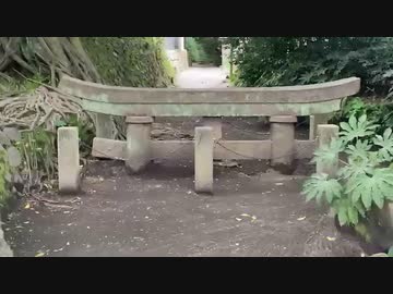 桜島　埋没鳥居　旅猫あずきと車中泊の旅