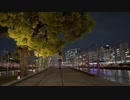 drop pop candy を踊ってみたver.のぶめ