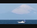 2021年03月24日2枠目　朝の城ヶ島