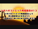 ツギハギファミリア 再編集版 #13