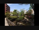 Soundreamer Mine World rmx (uplifting trance) 148bpm→206bpm