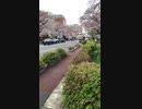 2021年3月25日の国立