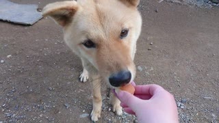 メイリオと初めてのパン