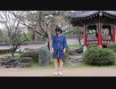 【ちょろりんご】お気に召すまま《踊ってみた》