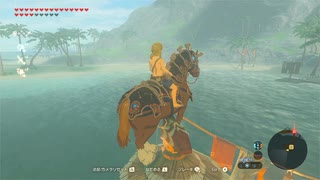 依頼を受けて、ウオトリー村のシャチホコに乗ってみた
