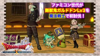 [実況プレイ]ファミコン世代がガルドドンLv3を魔法戦士で初討伐！