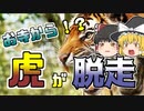 【ゆっくり解説】お寺で飼われていたベンガルトラが脱走し、町はパニックに...『君津神野寺虎脱走』