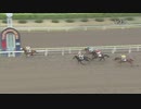 2021年3月25日大井競馬11R 隅田川オープン(OP) ワークアンドラブ