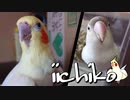 餌よりカメラ目線