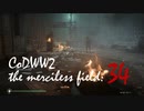 CoDWWⅡ the merciless field: 34