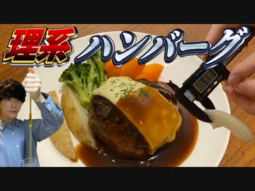 【理系】超精密なハンバーグを作ろう