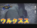 【実況】ウルクスス君。君は何か変わったのかね？【モンハンライズ】