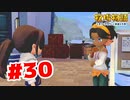 【実況】町にポスターを貼りたいらしい【牧場物語オリーブタウンと希望の大地】#30