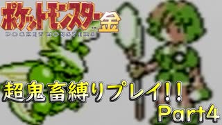 【ポケモン金】ポケモンセンターは閉鎖されています。【part4】