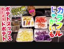 カラフルなじゃがいも娘でTNポテトヌップスとPlayドTNポテト作ってみた！【枕仕事用フライヤー】