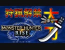 【実況】まさかの初期装備が太刀なのでとりあえずぶん回す 【MHRise】Part1