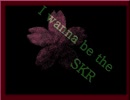 I wanna be the SKR