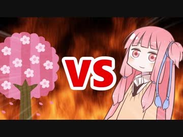 茜ちゃんVS桜